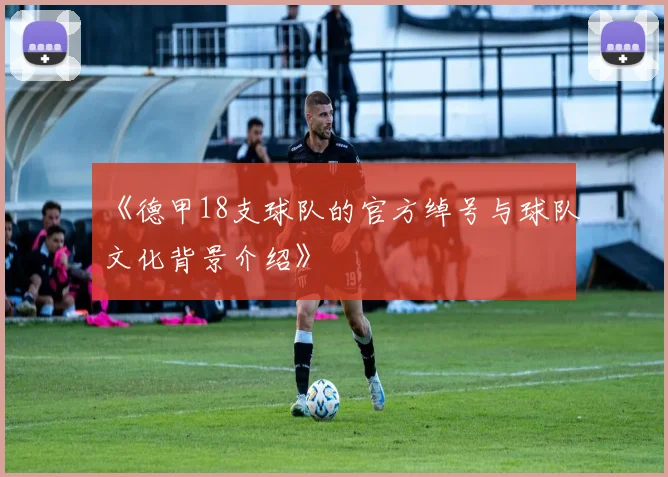 《德甲18支球队的官方绰号与球队文化背景介绍》