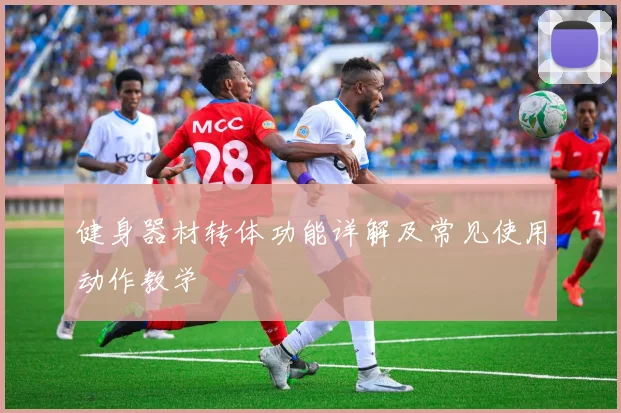 健身器材转体功能详解及常见使用动作教学