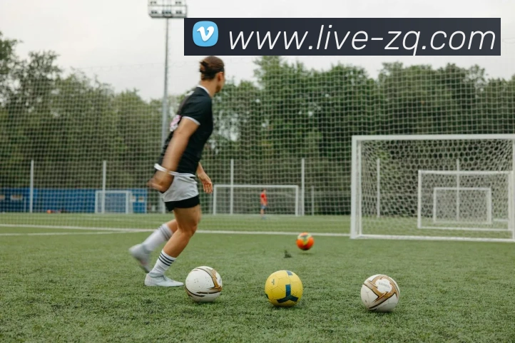 英超与德甲各支球队数量与特点对比分析